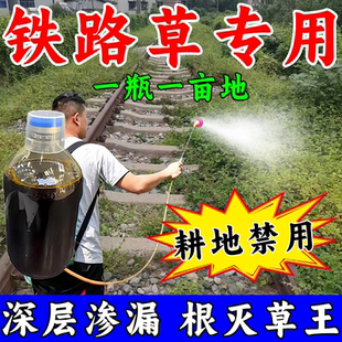 铁路道路专用铁道路草打绝烂根不返青烂根烂草全死光强效开荒