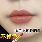 双头唇线笔唇刷肉桂色防水持久不掉色二合一口红嘴唇笔裸咖奶茶色