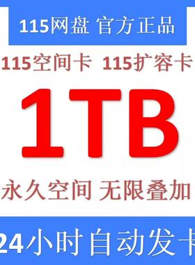 115云盘1TB空间卡 1TB永久空间卡 115网盘扩容卡 非5TB空间扩容卡