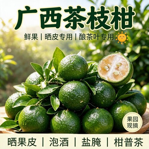 2026广西正宗大青柑陈皮鲜果