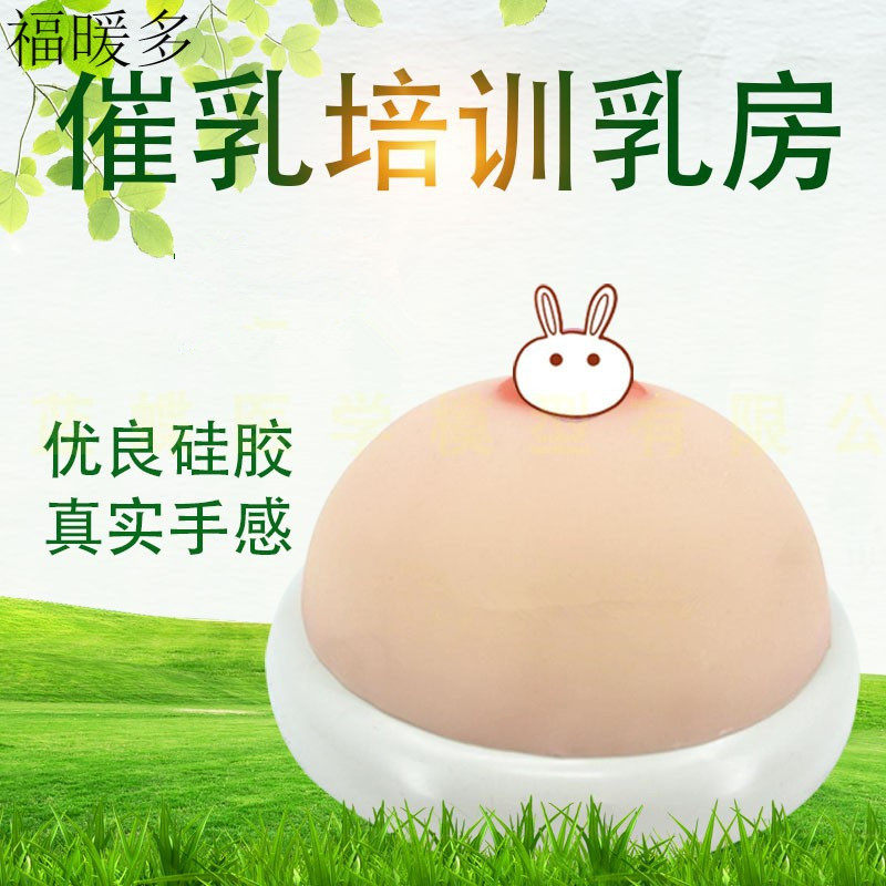 硅胶女性乳房模型带乳晕催乳师培训道具哺乳喂养练习教学教具模型
