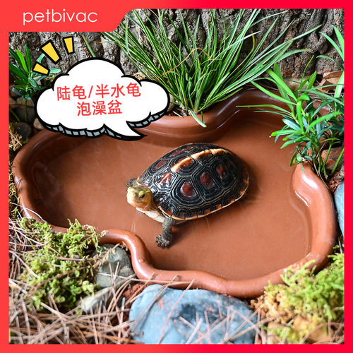 宠必威乌龟泡澡盆黄缘半水龟澡盆