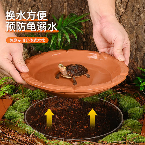 黄缘龟专用分体式水盆乌龟泡澡盆