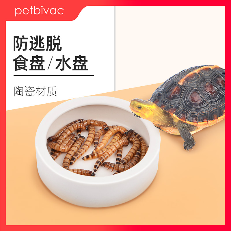 爬宠陶瓷喂食盆乌龟食盘