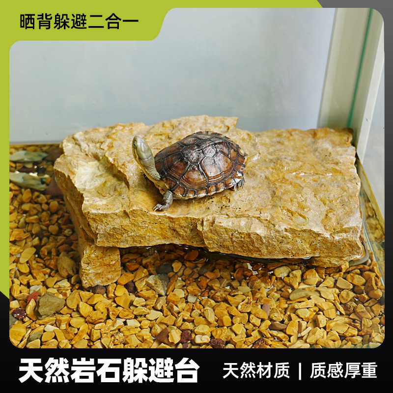 乌龟专用天然石头晒背爬台爬宠蜥蜴黄缘半水龟躲避屋洞造景用品