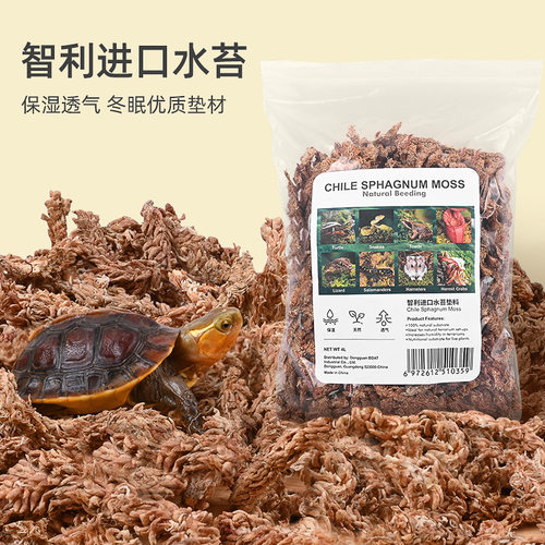 乌龟冬眠专用黄缘龟保暖水苔垫材
