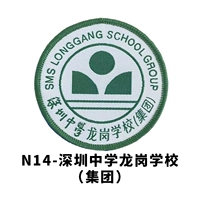 Шэньчжэнь средняя школа Лонгганг (группа)