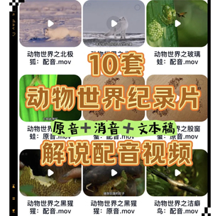 动物世界纪录片配音视频素材解说词少儿口才课堂游戏配音秀中文