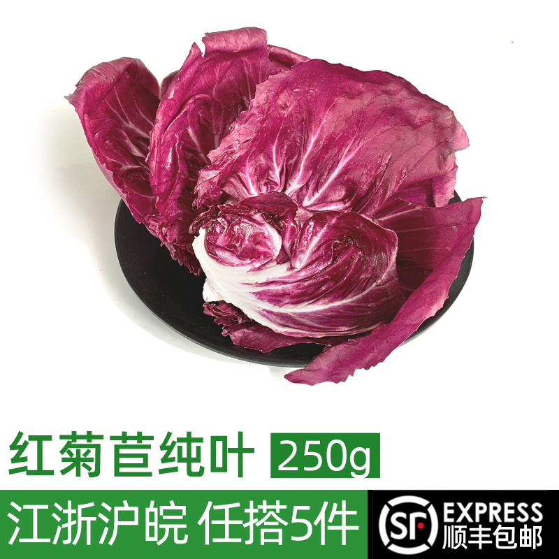 新鲜红菊苣叶子250g西餐沙拉食材