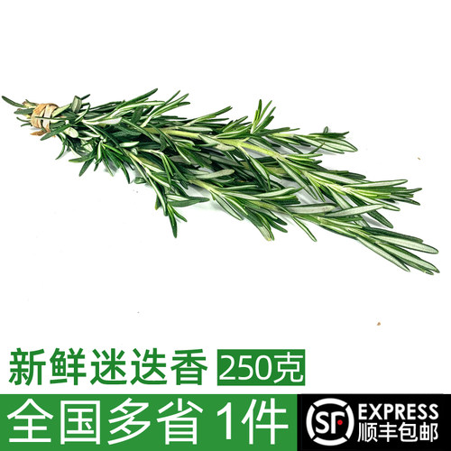 新鲜迷迭香牛排西餐烧烤香料调料