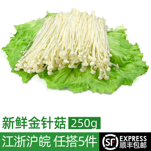 新鲜250g烧烤火锅素菜金针菇