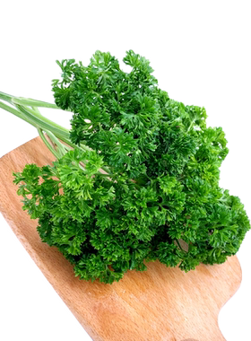 新鲜荷兰芹 法国香菜欧芹西洋芹 西餐蔬菜火锅摆盘装饰用材料包邮