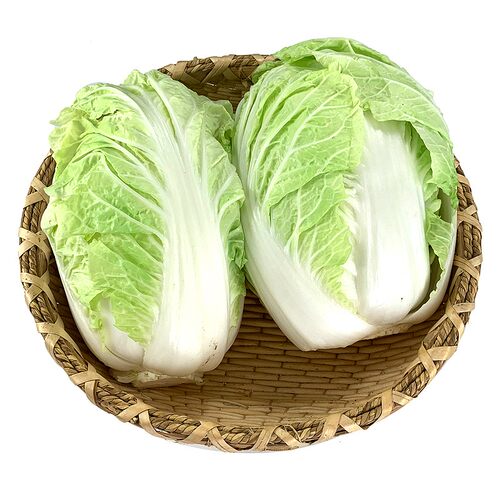 新鲜小白菜1斤左右 上海农家自种包心大娃娃菜小白菜时令蔬菜