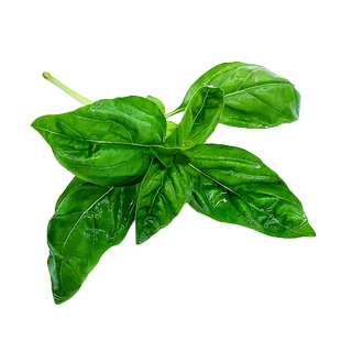 新鲜罗勒叶250g 西餐食用披萨草意大利面青酱调料香料蔬菜