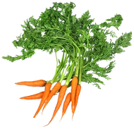 新鲜手指胡萝卜生吃蔬菜沙拉食材