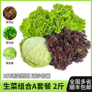 绿食者2斤生菜组合3种蔬菜