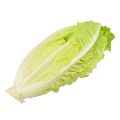 包心罗马生菜500g黄心沙拉食材