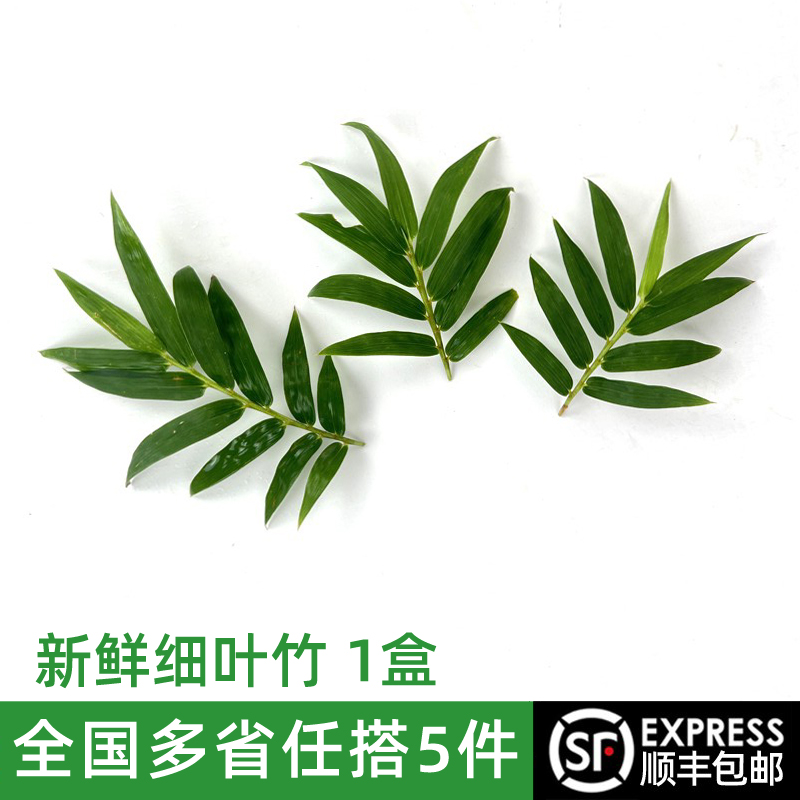 细叶竹1盒西餐冷菜摆盘装饰