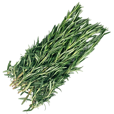 新鲜迷迭香西餐牛排香料
