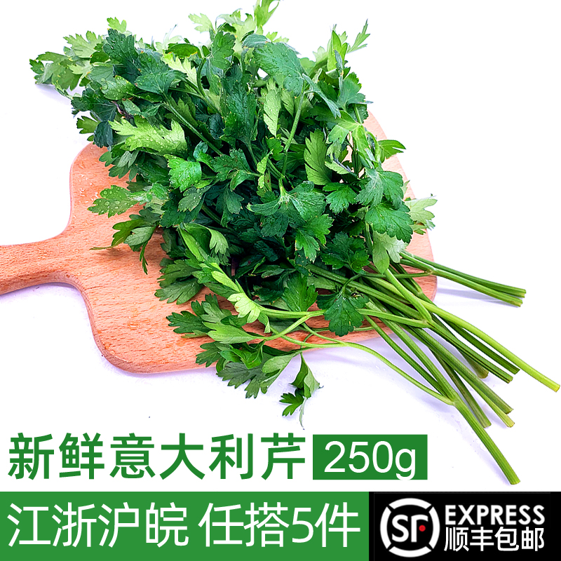 新鲜意大利芹250g欧芹法国香菜
