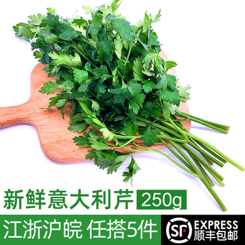 新鲜意大利芹250g欧芹法国香菜