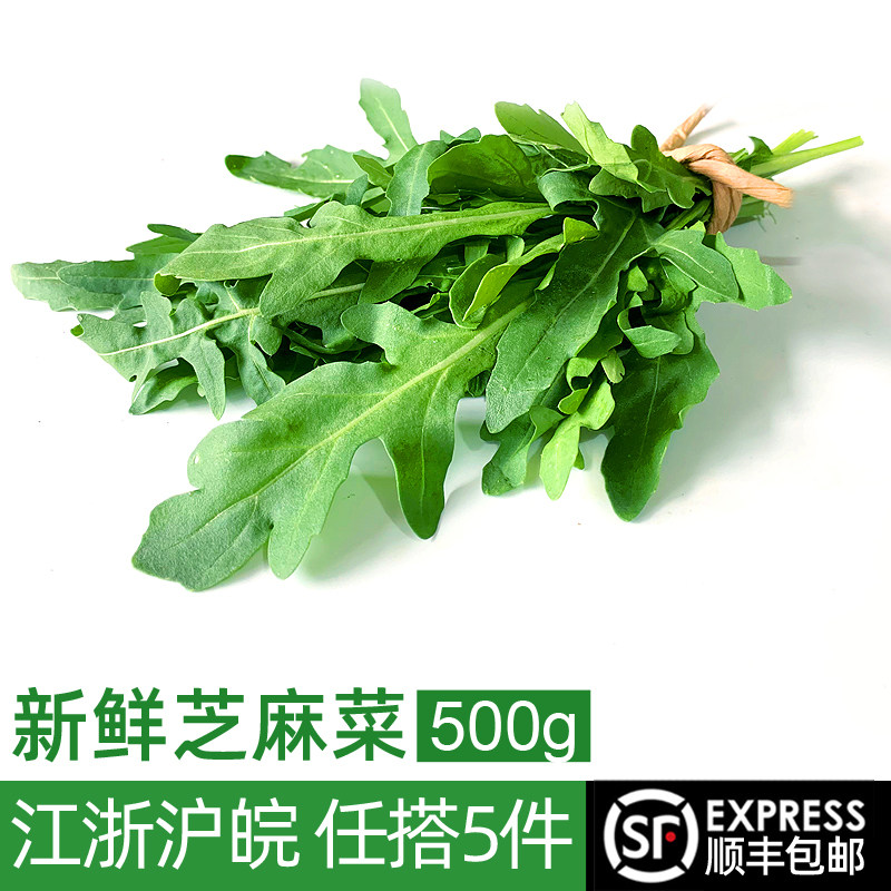 芝麻菜500g新鲜蔬菜沙拉食材图片