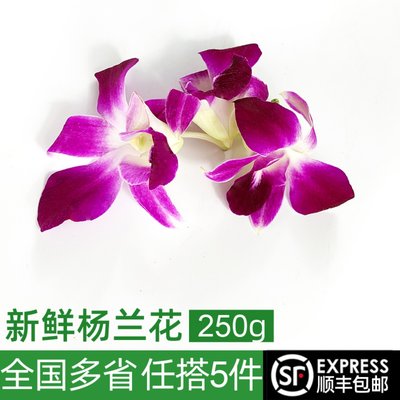 新鲜洋兰花250g杨兰花酒店饭店