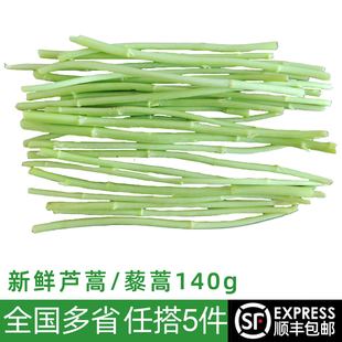 新鲜藜蒿500g 芦蒿蒌蒿去根去叶农家自种泥蒿当季新鲜蔬菜野菜