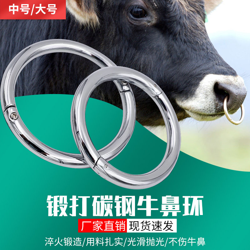 牛鼻环金属牛鼻圈牛鼻子牵引扣牵引环碳钢栓牛环大号穿孔牛鼻夹子
