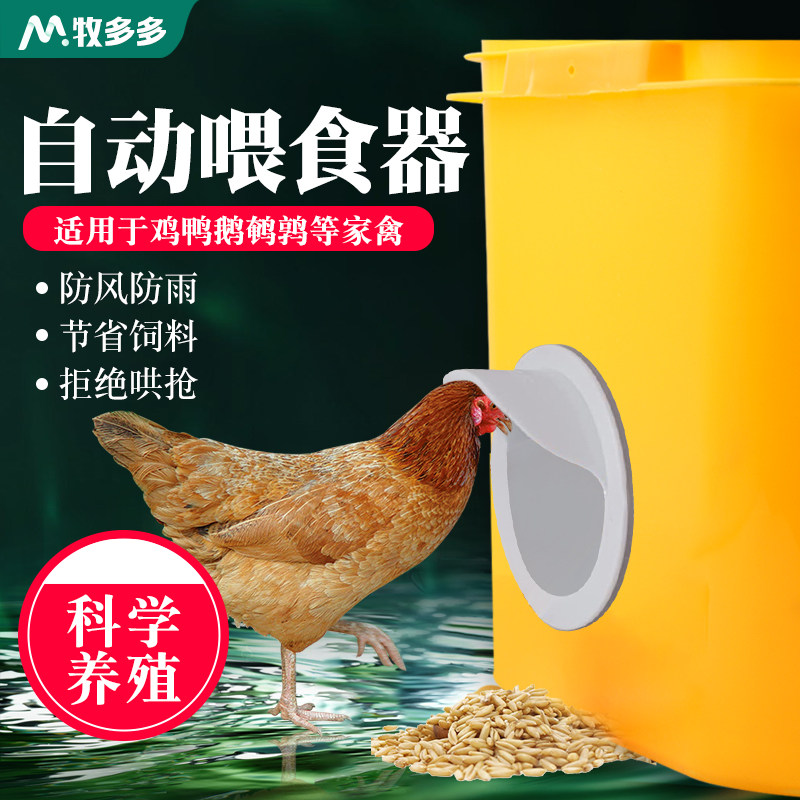 鸡鸭鹅自动喂食器家禽喂饲料桶防潮喂料器鸡场下料器进料器鸡食槽使用感如何?