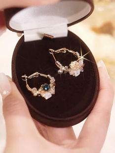 轻奢气质璀璨水晶锆石耳环2022年新款 耳圈银针耳饰女 潮高级感时尚