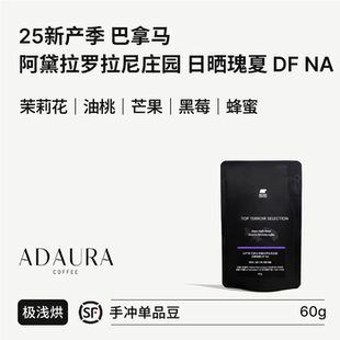 SUR 日晒瑰夏DF 茉莉花 巴拿马阿黛拉罗拉尼庄园 25产季 BIG