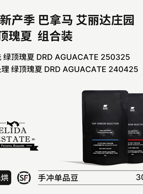 BIG SUR 25产季巴拿马艾丽达庄园鳄梨地块 暗房干燥水洗/蜜处理