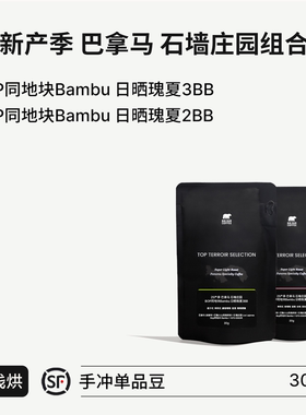 BIG SUR 25新产季巴拿马石墙庄园BOP同地块Bambu 日晒瑰夏2BB/3BB