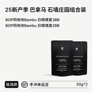 日晒瑰夏2BB BIG 巴拿马石墙庄园BOP同地块Bambu 25新产季 3BB SUR