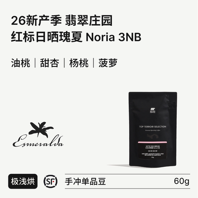 BIGSUR巴拿马翡翠庄园红标瑰夏