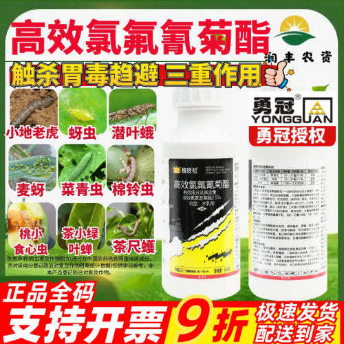 勇冠植轻松2.5%高效氯氟氰菊酯 蔬菜菜青虫蚜虫绿盲蝽农药杀虫剂