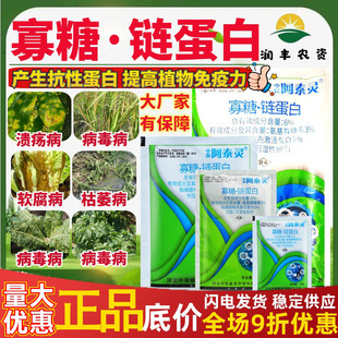 整箱中保阿泰灵6%寡糖链蛋白寡糖素极细链格孢蛋白农药杀菌剂