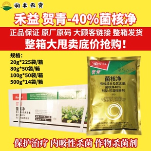 整箱江西禾益贺青40%菌核净 烟草赤星病油菜菌核病内吸农药杀菌剂