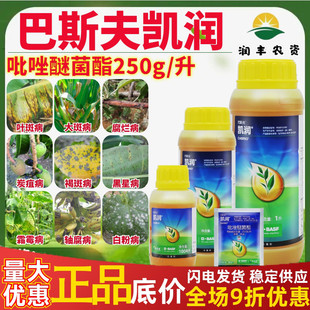 德国进口巴斯夫凯润25%吡唑醚菌酯黄瓜香蕉等叶斑病褐斑病杀菌剂