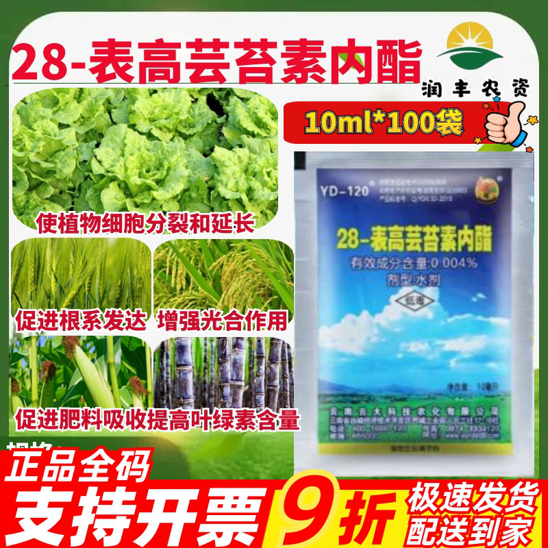 云大120 28-表高芸苔素内脂小麦水稻玉米甘蔗蔬菜作物生长调节剂
