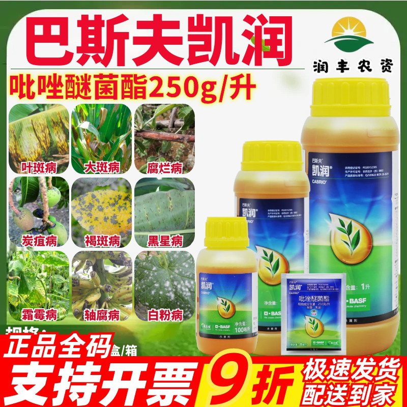 整箱进口巴斯夫凯润25%吡唑醚菌酯黄瓜香蕉等叶斑病褐斑病杀菌剂