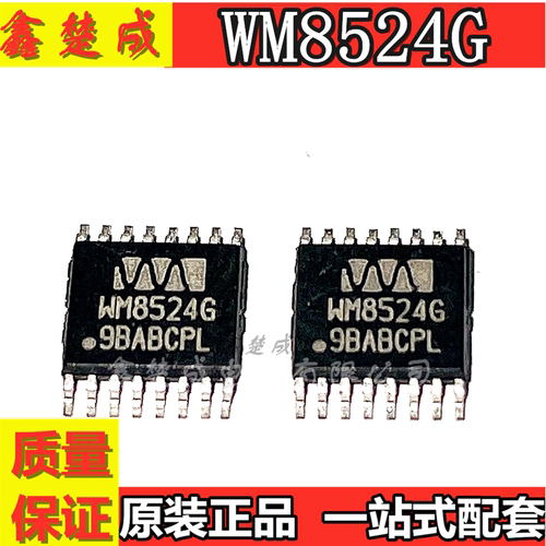 WM8524GEDT/R WM8524G 贴片TSSOP1【集成块/ic主板芯片专用】
