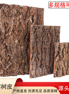 鱼缸香槟树皮 水族雨淋缸背景软木真栎树皮 cork爬宠躲避背景板