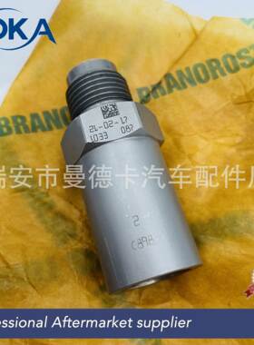 1110010033 5001858409共轨泄压阀限制阀