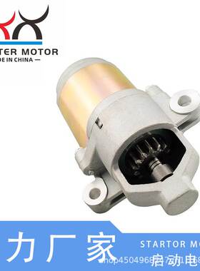 751-12207 751P12207A起动电机 启动马达适用于MTD Craftsman