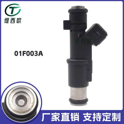 适用于标致307 雪铁龙 燃油喷射器 喷油嘴 01F003A