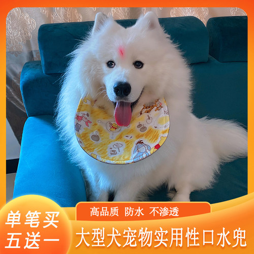 狗口水超大型阿拉斯加萨摩耶围兜