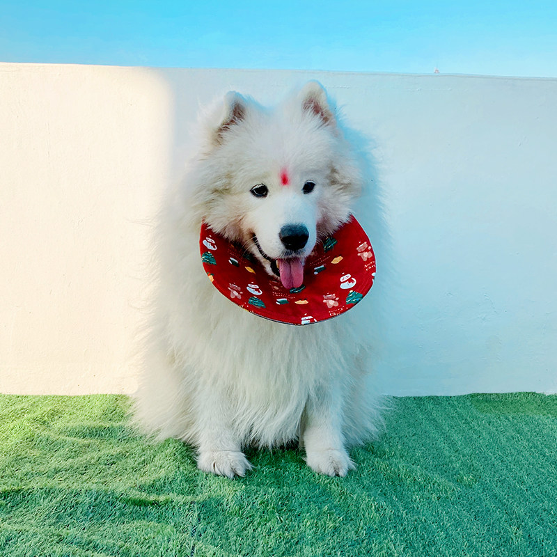 宠物狗狗口水巾中大型犬萨摩耶阿拉斯加圣诞节万圣节围兜围脖装饰,宠物/宠物食品及用品,围巾/口水巾,淘宝优惠券,粉丝福利购,淘宝优惠卷