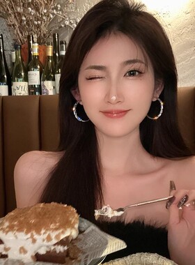 轻奢锆石圈圈耳环2026新款潮冷淡风耳钉夸张大耳圈女耳饰高级感